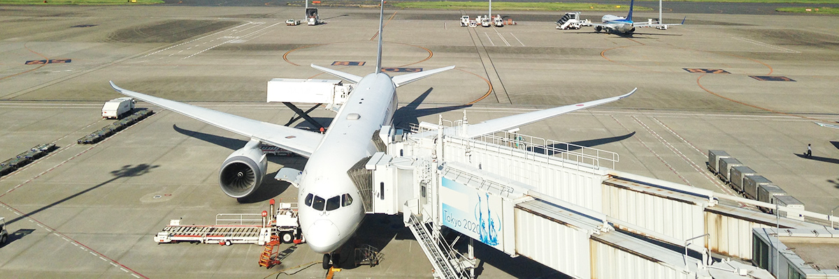 エアポートリムジンバス、羽田空港、成田空港