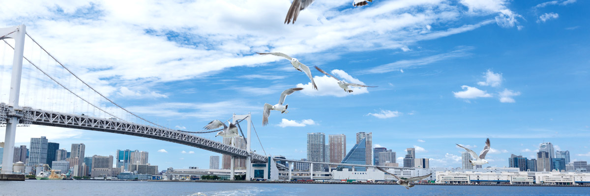 海上より都心方向を望む